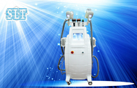 Cavitation रेडियो फ्रीक्वेंसी Cryolipolysis Slimming मशीन / लाइपो लेजर वजन घटाने मशीन