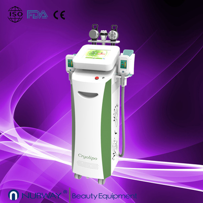 नवीनतम तेजी से अद्भुत परिणाम Cryolipolysis मशीन सेल्युलाईट कमी के लिए वजन कम करने के लिए