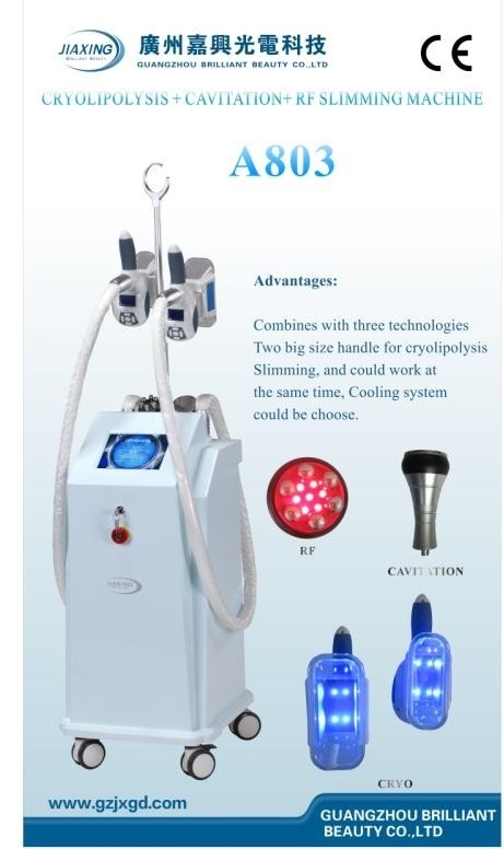 8 इंच रंग स्पर्श स्क्रीन / A804 के साथ गैर इनवेसिव Cryolipolysis Slimming सौंदर्य उपकरण